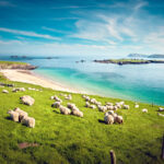 Irland