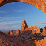 135415 BONUS Website Header 2000x500px Calphadogdesign