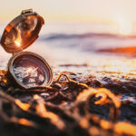 Pauschalreise Buchen 800x670px