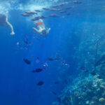 Landingpage Aldiana Galerie 02 20260316