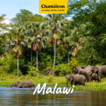 Malawi Erlebnis Reise Liwonde Malawi Erlebnis Reise Liwonde