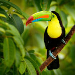 Urlaubsplus Mailing KW25 CostaRica